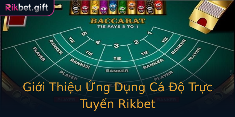 Giới Thiệu Ứng Dụng Cá Độ Trực Tuyến Rikbet