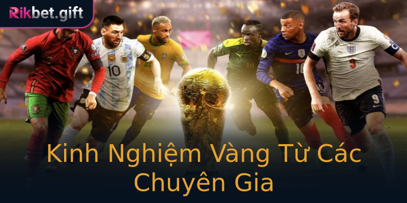 Kinh Nghiệm Vàng Từ Các Chuyên Gia Kinh Nghiệm Vàng Từ Các Chuyên Gia