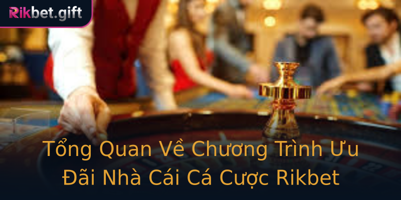 Tổng Quan Về Chương Trình Ưu Đãi Nhà Cái Cá Cược Rikbet