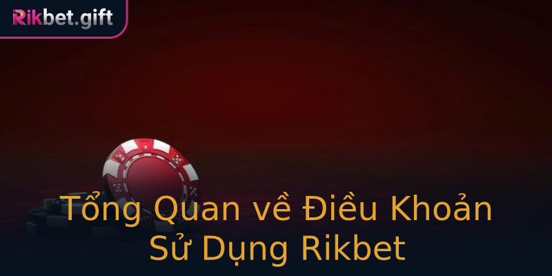 Tổng Quan về Điều Khoản Sử Dụng Rikbet